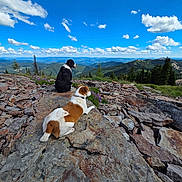 Lola And Oakley is registered to the contest to win money with this photo: animal, black_and_white_dog, brown_and_white_dog, cloud, daytime, dog, forest, greenery, hill, landscape, mountain, nature, outdoor, pet, relaxing, rock, scenic, sky, view, wilderness