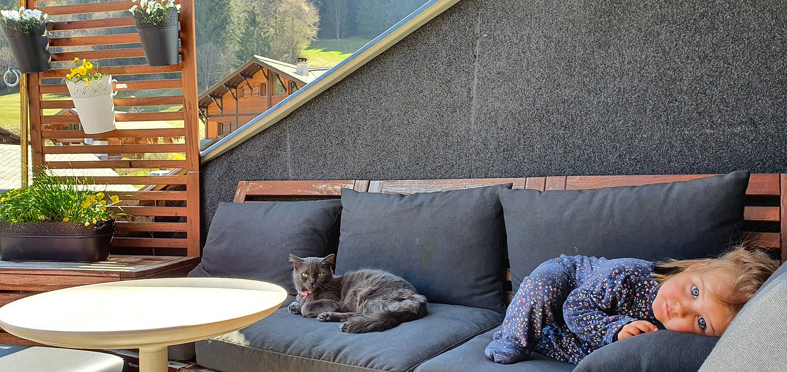 Ambre a rejoint le concours — aidez-le/la à gagner de superbes lots ! bed, building, cat, comfort, felidae, furniture, home, house, interior_design, person, roof, room, small_to_medium_sized_cats, window