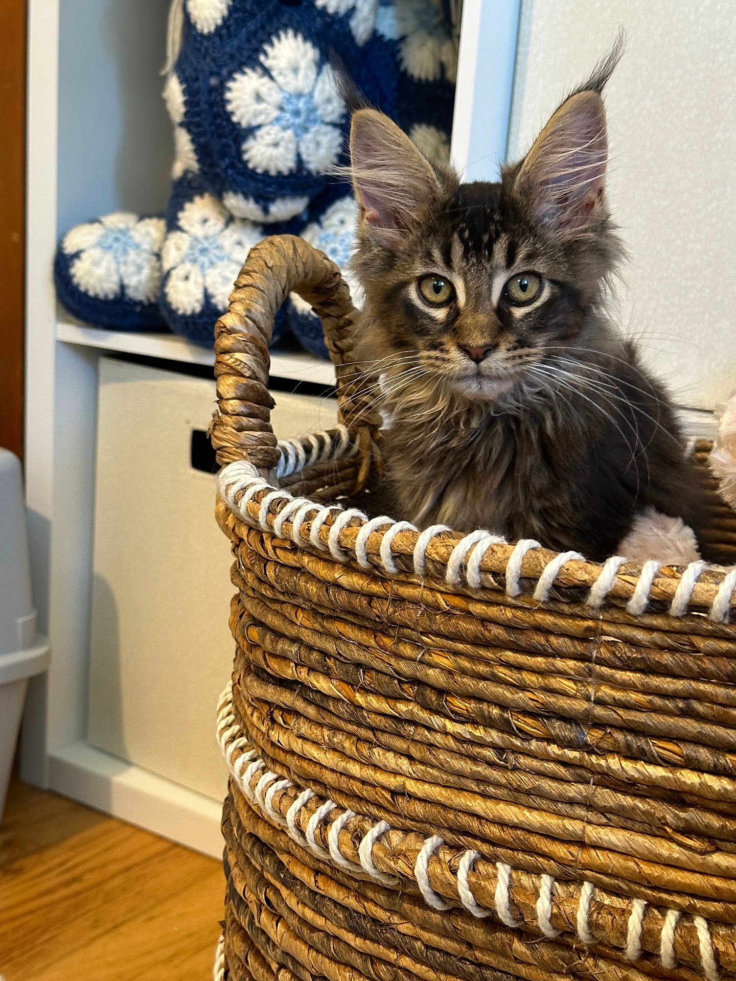 Loki