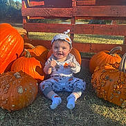 Brandon is registered to the contest to win money with this photo: baby, child, pumpkin, pumpkin_patch, halloween, autumn, outdoor, portrait, smiling, sitting, infant, hat, costume, clothing, orange, wooden_fence, farm, countryside, grass, sunlight