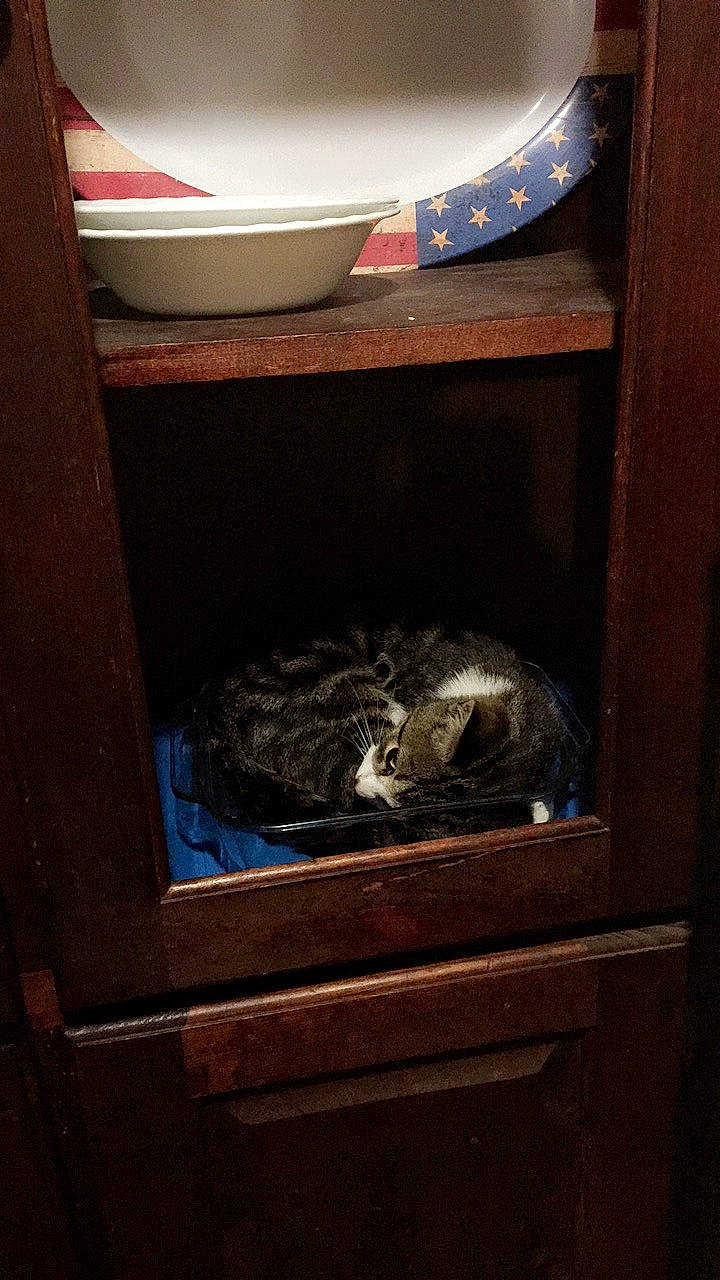 Carmella is registered to the contest to win money with this photo: chest_of_drawers, drawer, furniture, nightstand