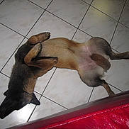 Gloria participe au concours pour gagner de l'argent avec cette photo :