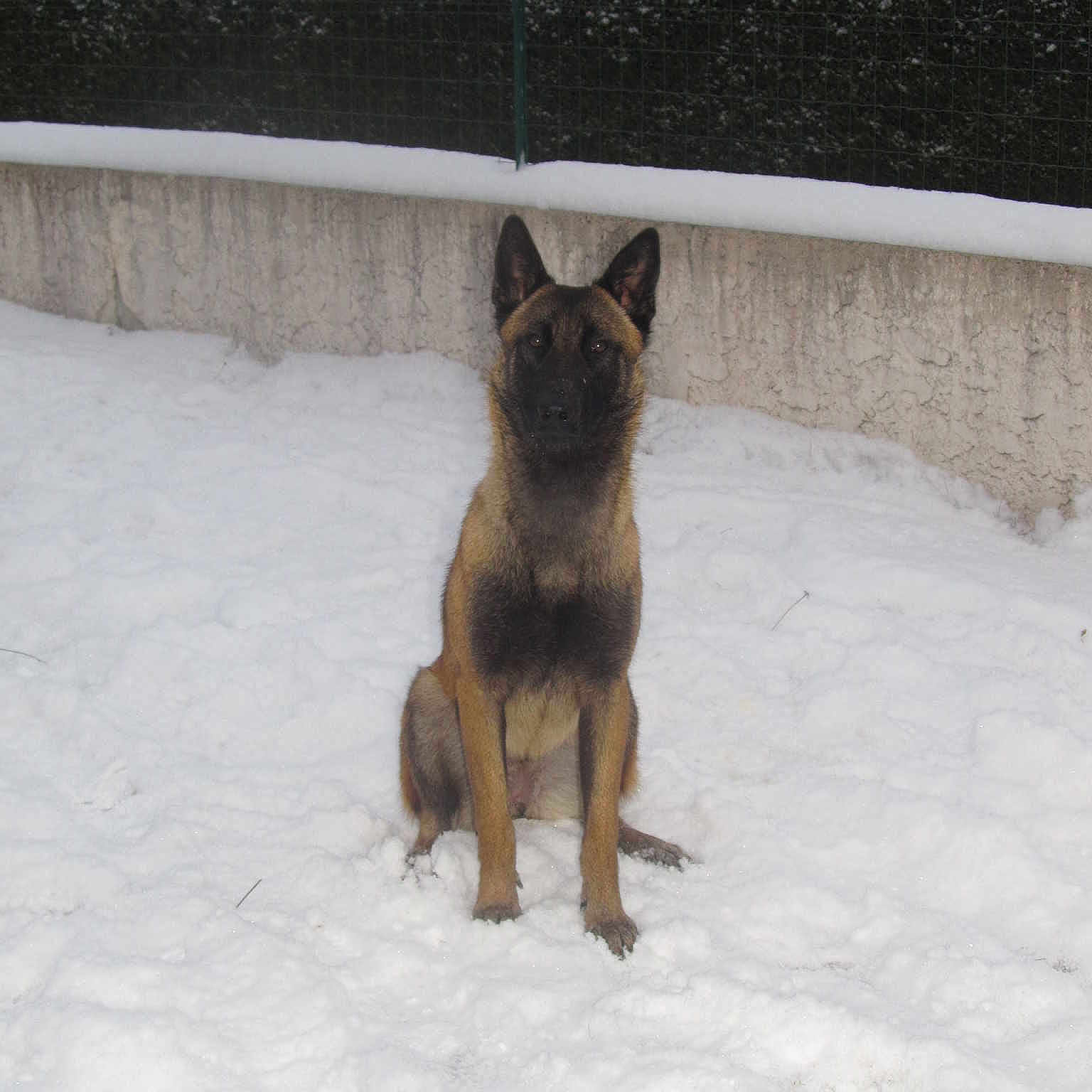 Gloria a rejoint le concours — aidez-le/la à gagner de superbes lots !