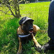 Gloria a rejoint le concours — aidez-le/la à gagner de superbes lots !