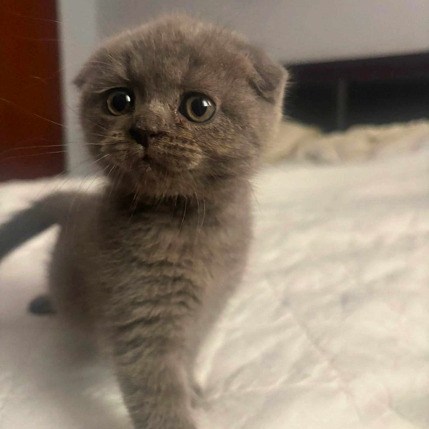 Yuki