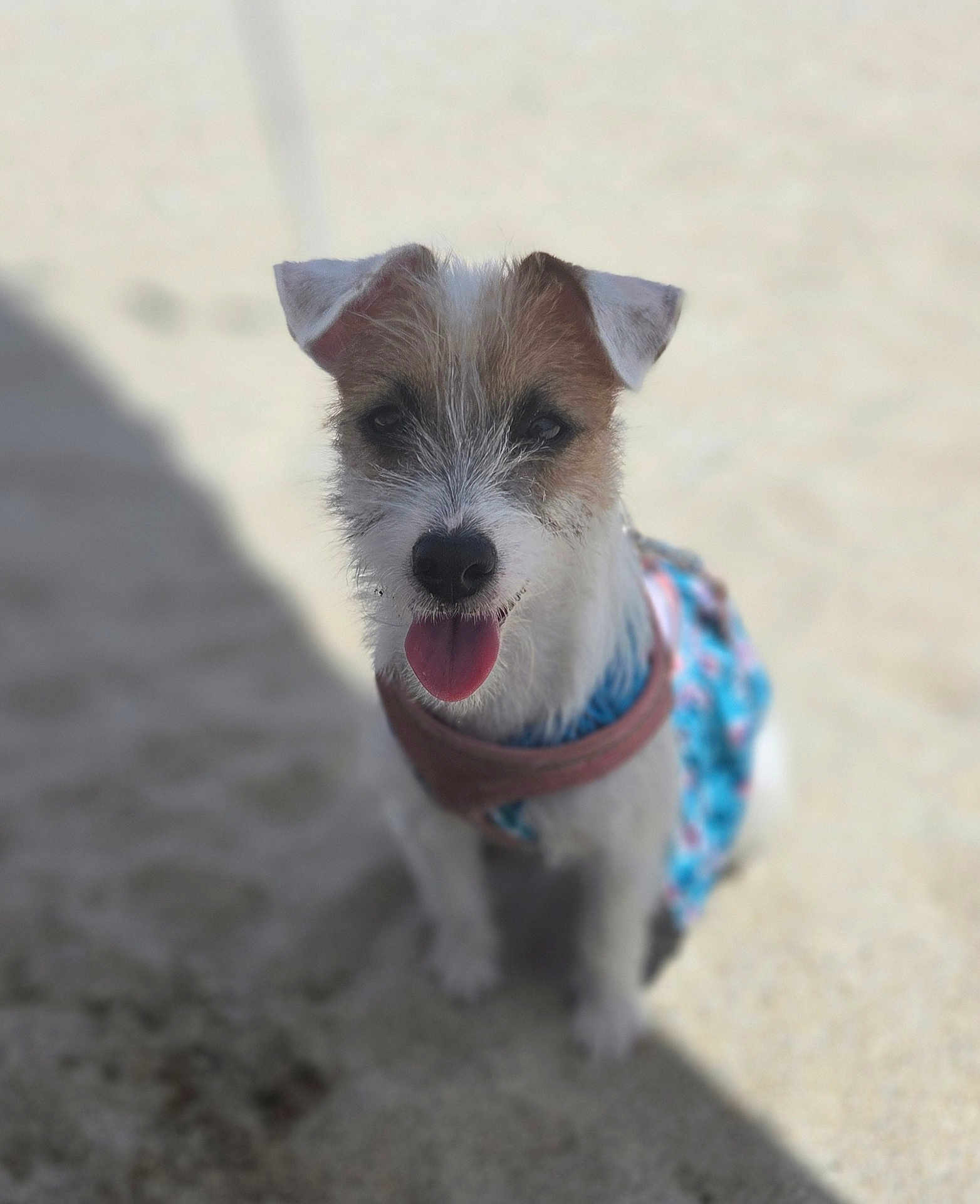 Luna