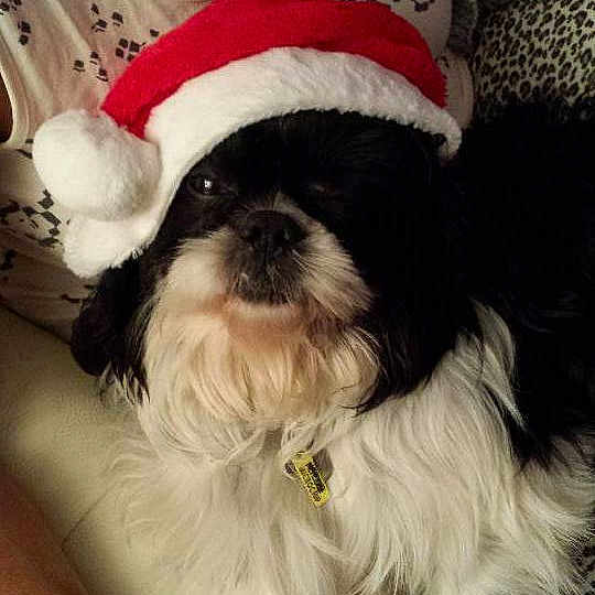 Blaze joined the competition — help win amazing prizes!