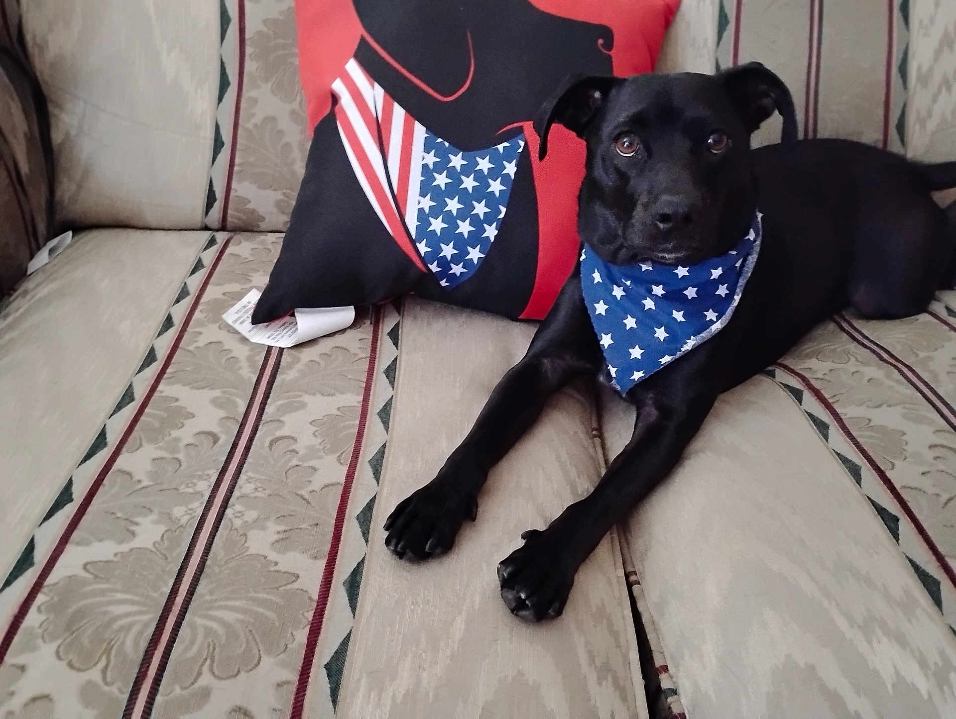 Cooper