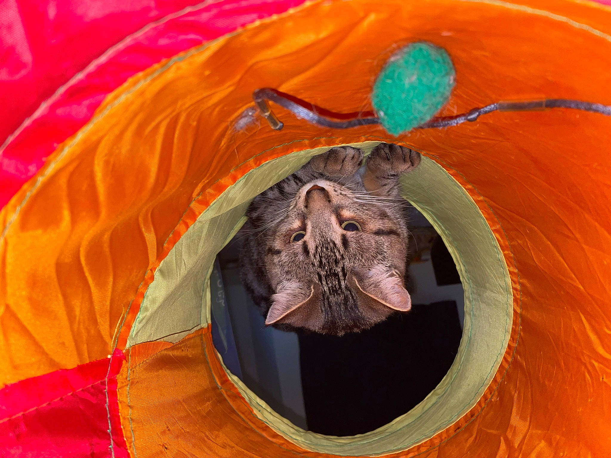 Tiny is registered to the contest to win money with this photo: art, circle, coquelicot, creative_arts, electric_blue, fashion_accessory, hat, headgear, natural_material, orange, pattern, peach, sleeve, symmetry, visual_arts