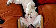 Ikke participe au concours pour gagner de l'argent avec cette photo :