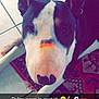 Ikke participe au concours pour gagner de l'argent avec cette photo :