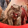cat, gray_cat, fierce, mouth_open, teeth, fur, animal, pet, indoor, holiday, decoration, red, green, cozy, christmas, background, furniture, closeup, expression, angry_cat