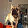 Bruno Barkman
