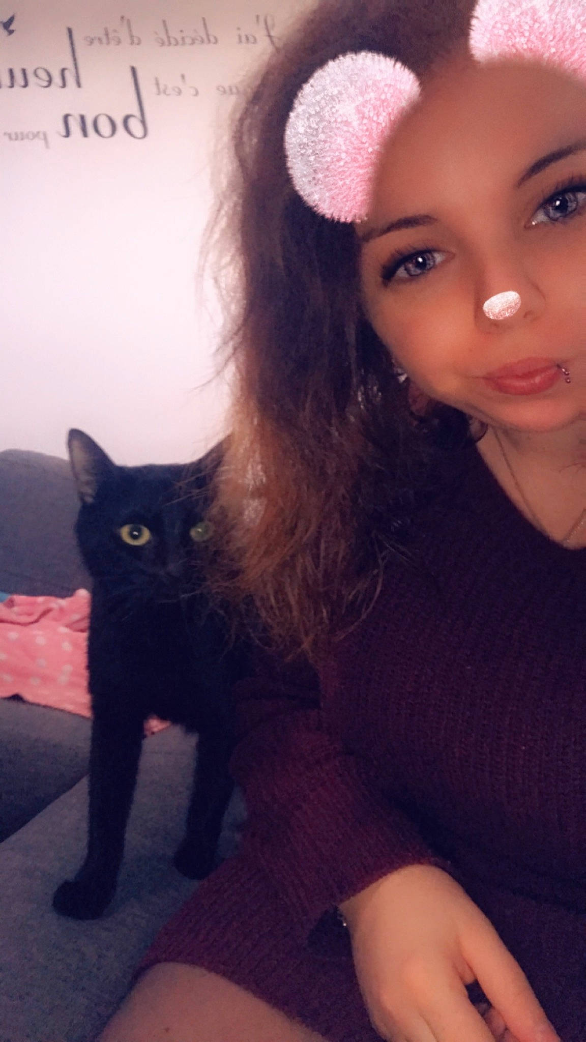 Speedy participe au concours pour gagner de l'argent avec cette photo : black, black_hair, cap, carnivore, cat, cool, ear, eye, eyebrow, eyelash, felidae, flash_photography, gesture, head, iris, lip, organ, skin, small_to_medium_sized_cats, whiskers