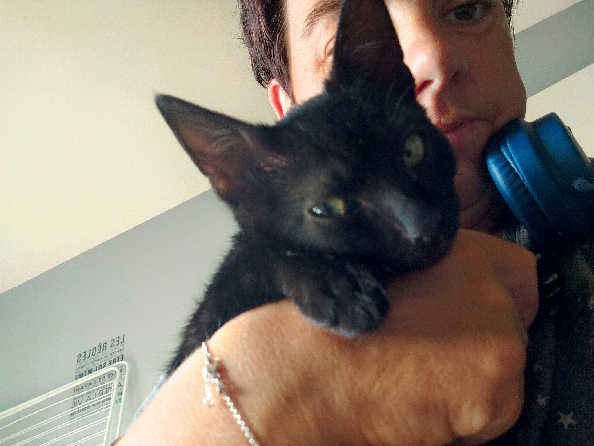 Daryl a rejoint le concours — aidez-le/la à gagner de superbes lots ! black, black_cat, black_hair, canidae, carnivore, cat, dog_breed, ear, felidae, fur, hand, head, selfie, small_to_medium_sized_cats, snout, whiskers