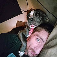 Jax is registered to the contest to win money with this photo: dog, man, indoor, couch, relaxed, pet, animal, face, shoulder, casual, cable, pillow, resting, companion, friendship, closeup, portrait, comfort, bond, laying