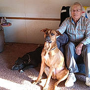 Boe joined the competition — help win amazing prizes! elderly_man, recliner, dog, tan_dog, black_dog, carpet, lamp, table, blanket, couch, indoor, sunlight, chain_collar, glasses, casual_clothing, sneakers, seated, pet, home, relaxed