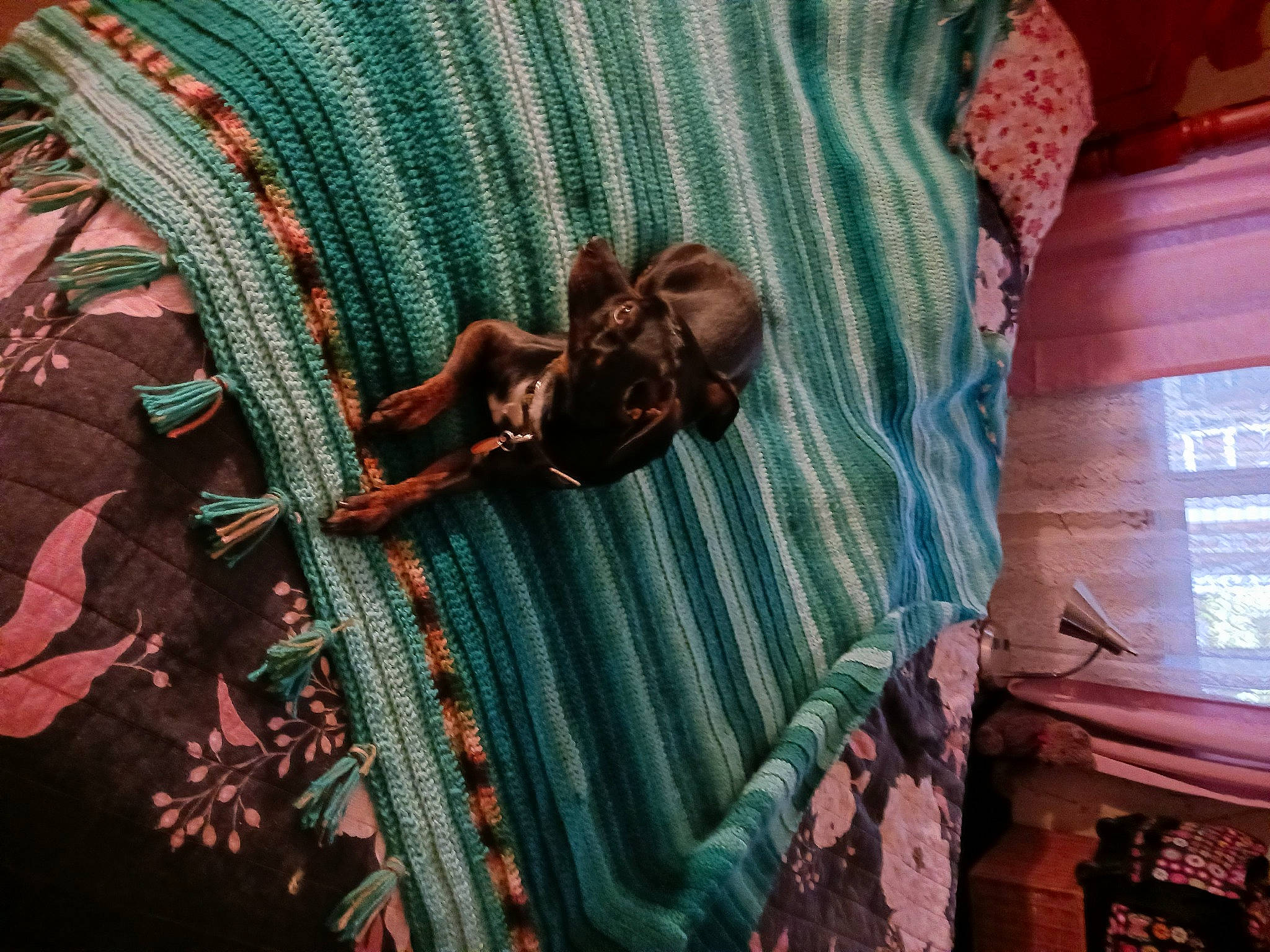 Keeper is registered to the contest to win money with this photo: aqua, art, azure, craft, fashion_accessory, flooring, leisure, linens, magenta, metal, needlework, pattern, pink, room, textile, visual_arts, wood, wool