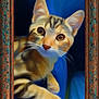 painting, cat, art, impressionism, frame, blue_background, rustic_frame, whiskers, animal_portrait, feline, brush_strokes, signature, claude_monet, decor, closeup, illustration, orange_tabby, artwork, texture, portrait
