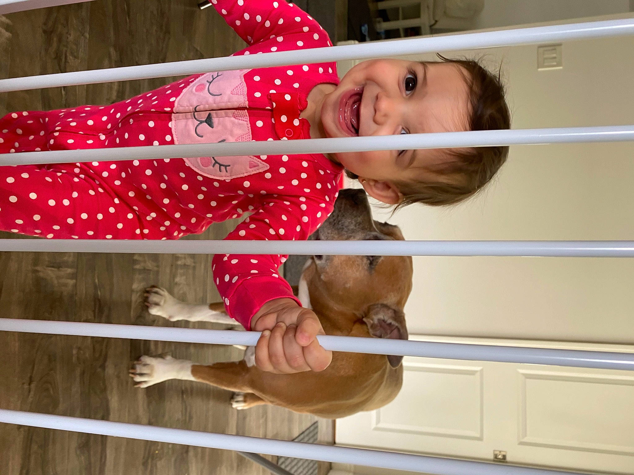 Elana is registered to the contest to win money with this photo: fawn, furniture, joy, person, pink