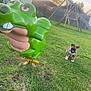 alligator, animal, brown_puppy, cute, daylight, fence, fun, grass, green, leash, nature, outdoor, play, playground, puppy, slide, spring_rider, swing_set, toys, wooden_fence
