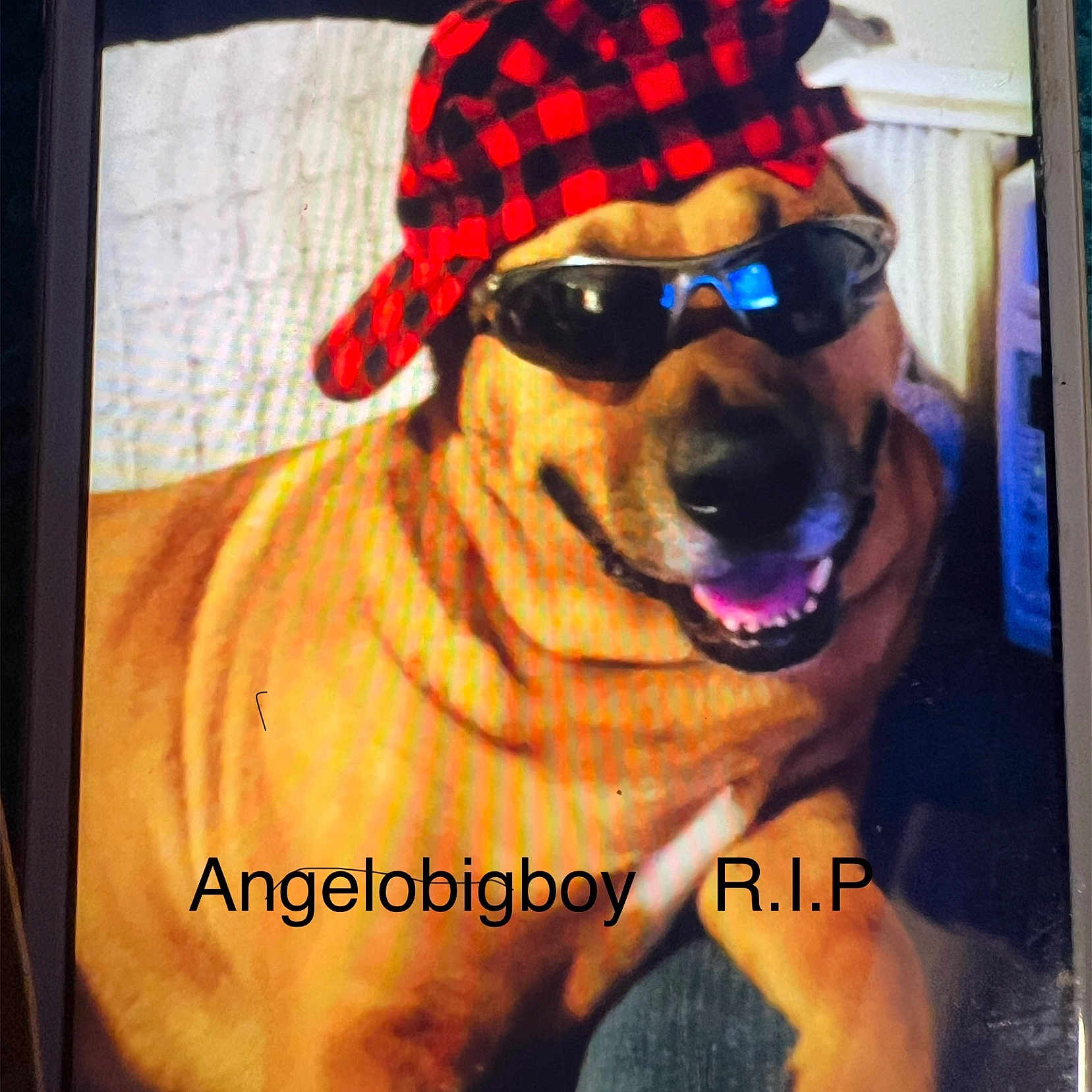 Angelo