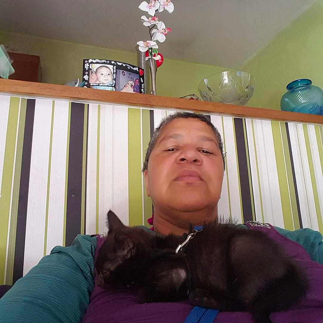 Kaly participe au concours pour gagner de l'argent avec cette photo : animal, bed, bedroom, cat, crib, cushion, face, furniture, head, homedecor, indoors, person, pet, photoframe, photography, plant, portrait, pottedplant, room, sleeping