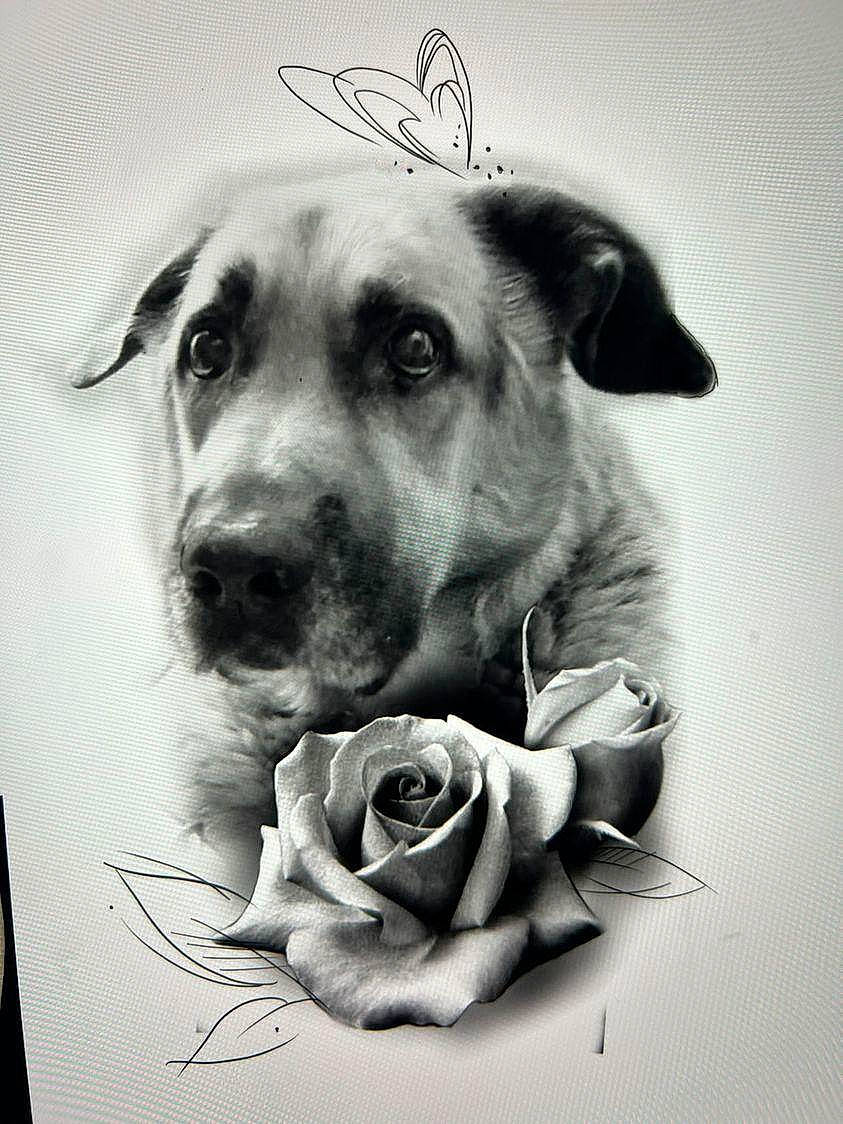 Rex participe au concours pour gagner de l'argent avec cette photo : art, black_and_white, carnivore, companion_dog, dog, dog_breed, flower, font, happy, hybrid_tea_rose, monochrome, monochrome_photography, petal, picture_frame, rose, rose_family, rose_order, style, white, working_animal