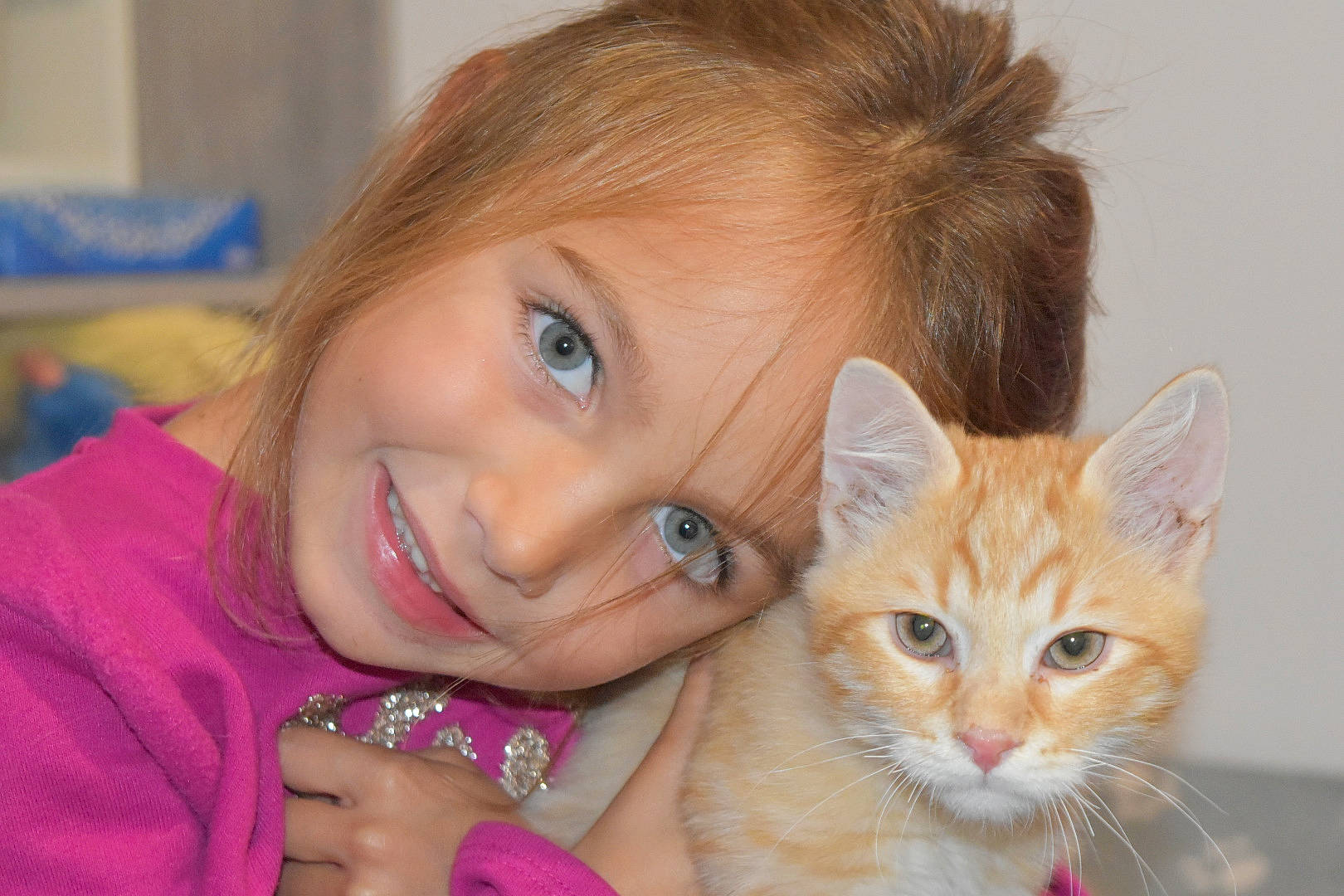 Olivia a rejoint le concours — aidez-le/la à gagner de superbes lots ! blond, carnivore, cat, eye, eyelash, fawn, felidae, fur, gesture, hair, happy, iris, joy, mammal, nose, person, sitting, skin, small_to_medium_sized_cats, smile