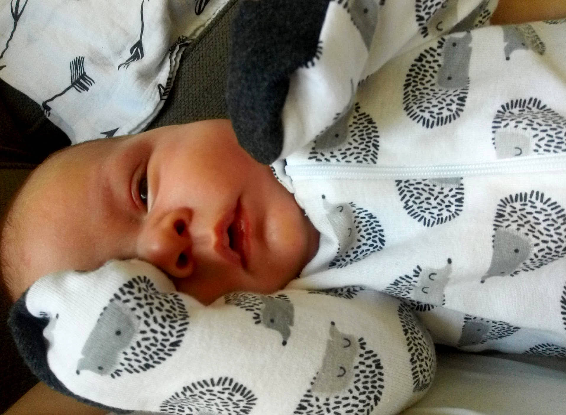 Atlas is registered to the contest to win money with this photo: art, baby, baby_sleeping, baby_toddler_clothing, bedding, bedtime, cheek, child, comfort, eyelash, fashion_accessory, fur, linens, nail, pattern, person, product, room, textile, toddler