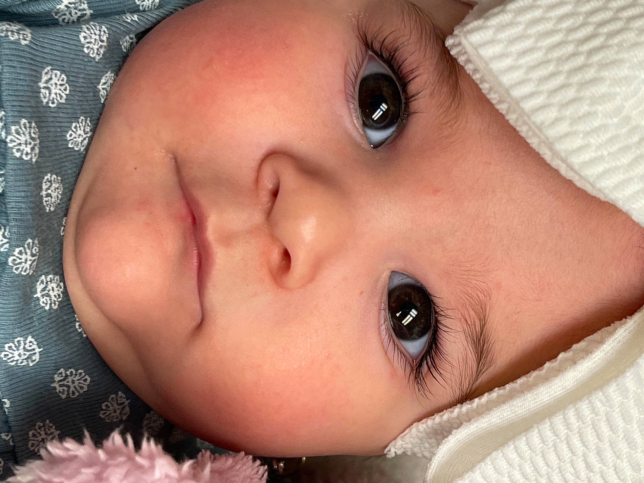 Alexa is registered to the contest to win money with this photo: baby, black, cheek, chin, ear, eye, eyebrow, eyelash, face, facial_expression, forehead, headwear, human_body, iris, lip, mouth, neck, nose, organ, person