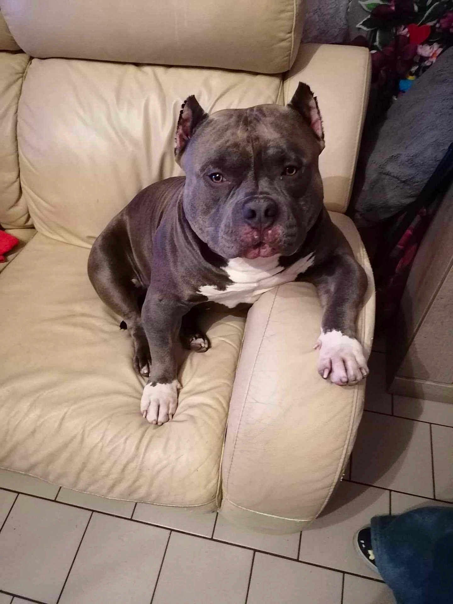 Hiro