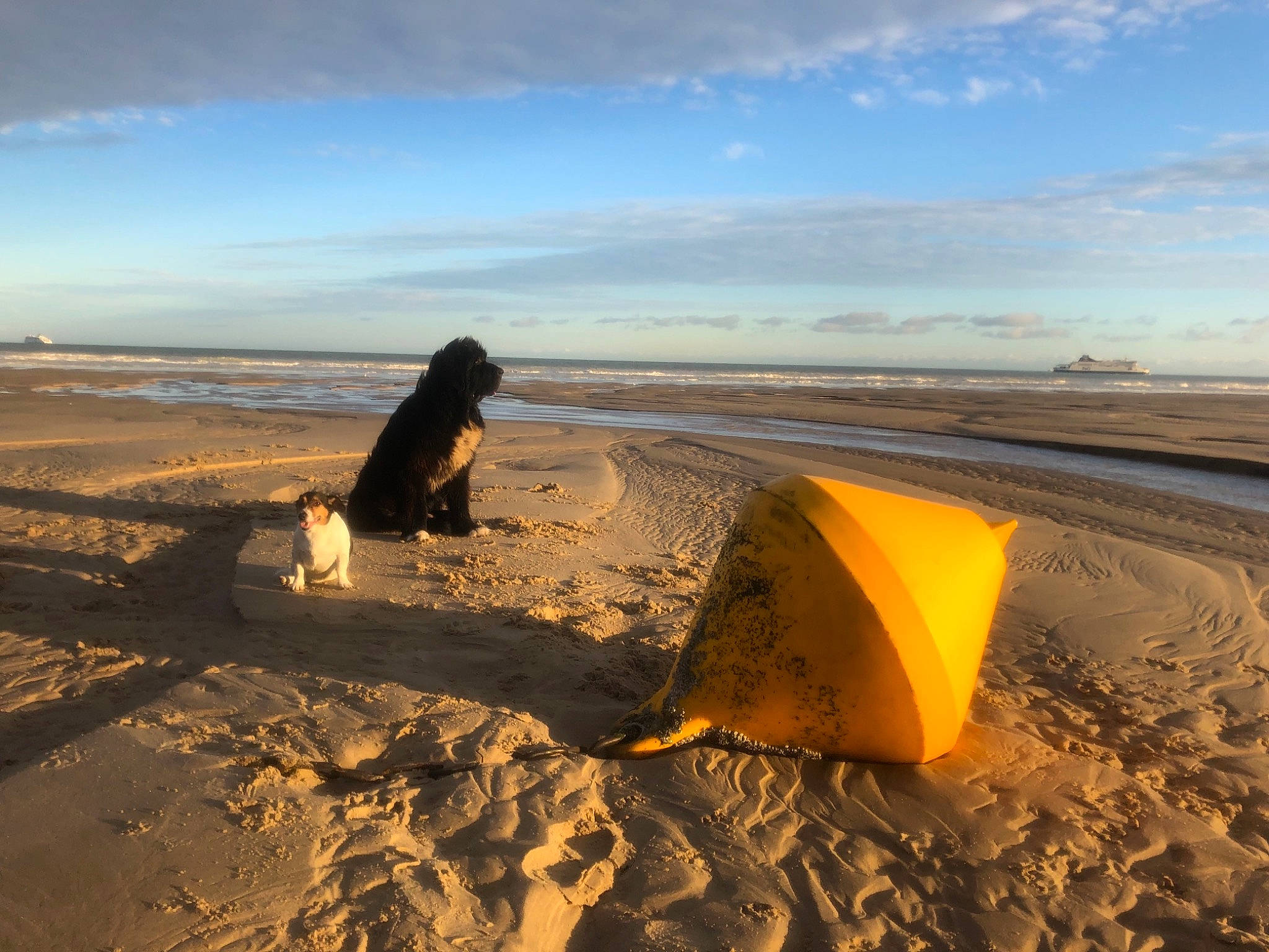 Mayro participe au concours pour gagner de l'argent avec cette photo : aeolian_landform, beach, cloud, ecoregion, fun, horizon, landscape, people_in_nature, recreation, sand, shadow, sky, soil, tent, tints_and_shades, travel, wave, wind, wind_wave, wood