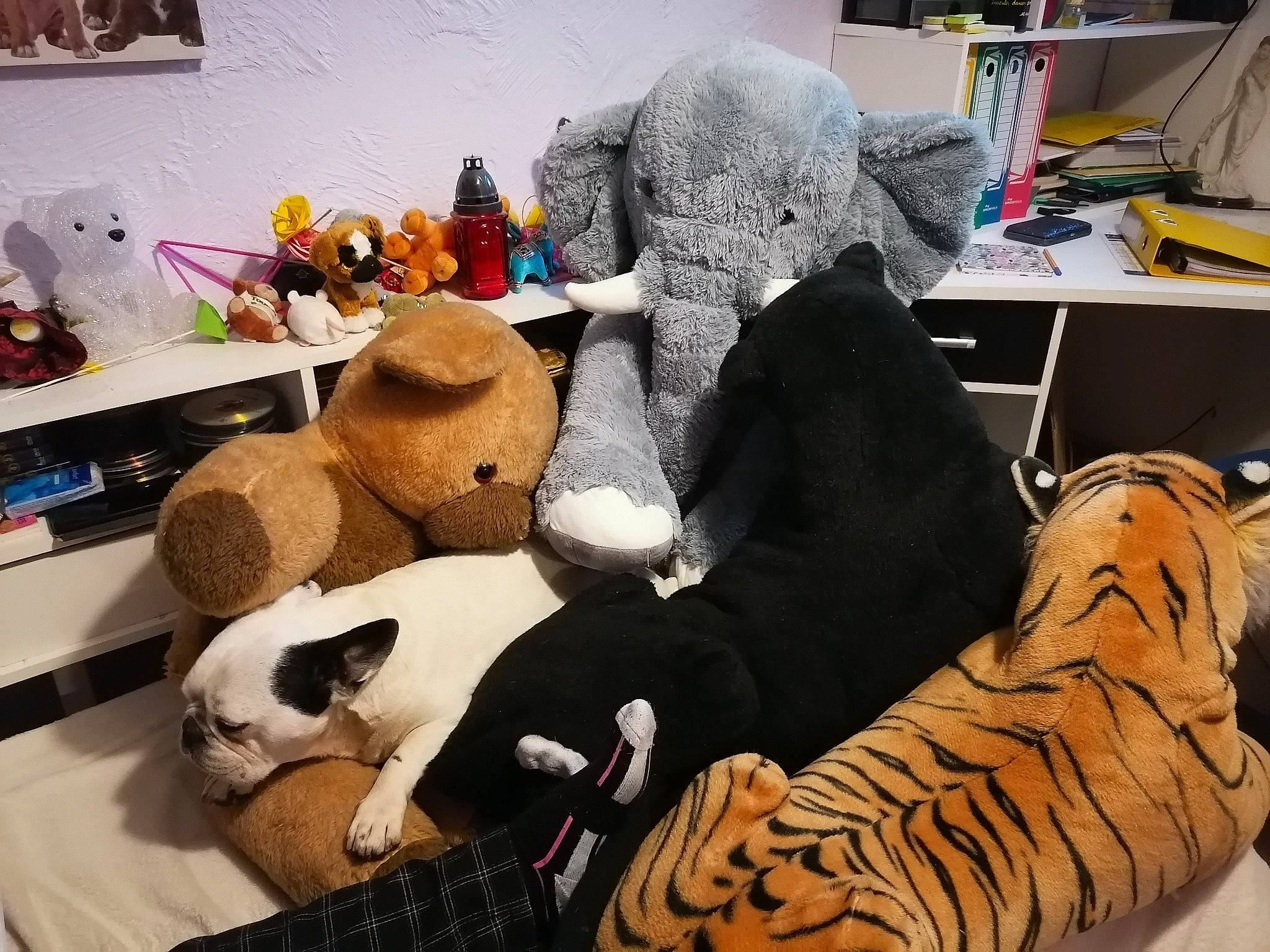 Homer a rejoint le concours — aidez-le/la à gagner de superbes lots ! art, baby_toys, carnivore, comfort, companion_dog, fawn, felidae, flooring, fur, furniture, linens, living_room, mammal, plush, room, stuffed_toy, textile, toy, vertebrate, wood