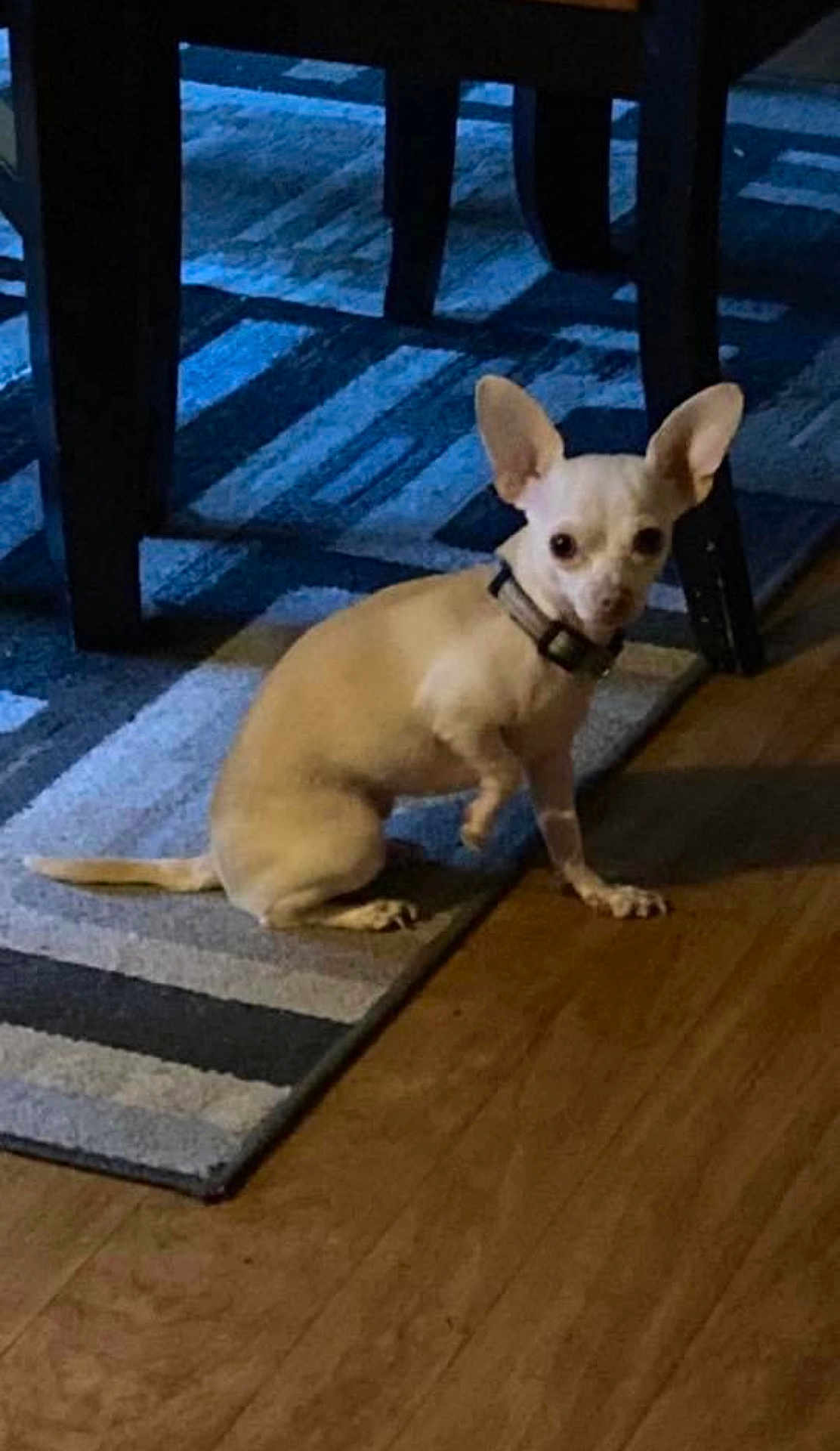 Minnie