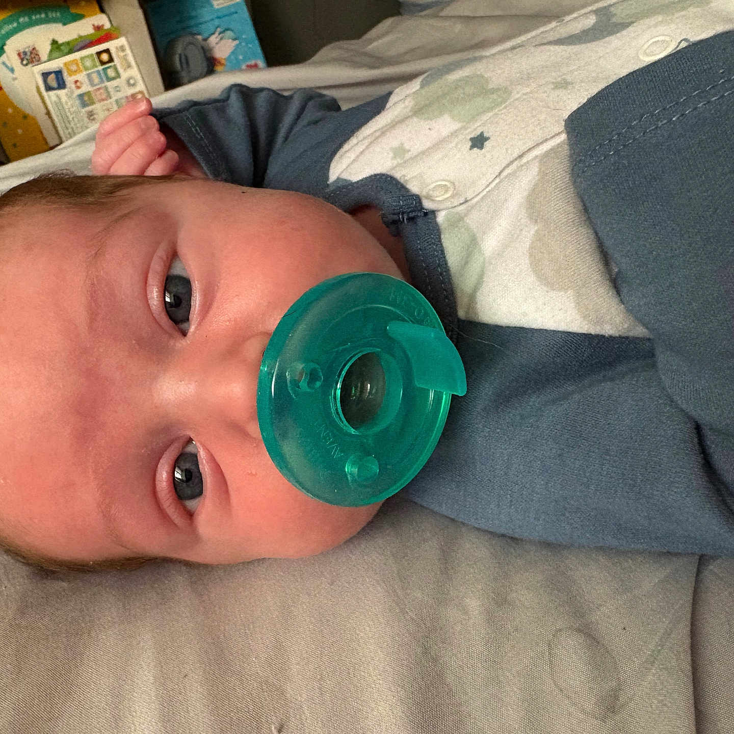 Dino joined the competition — help win amazing prizes! baby, bed, bedroom, bodypart, clothing, couch, cushion, face, finger, furniture, hand, head, homedecor, indoors, newborn, pants, person, photography, portrait, room