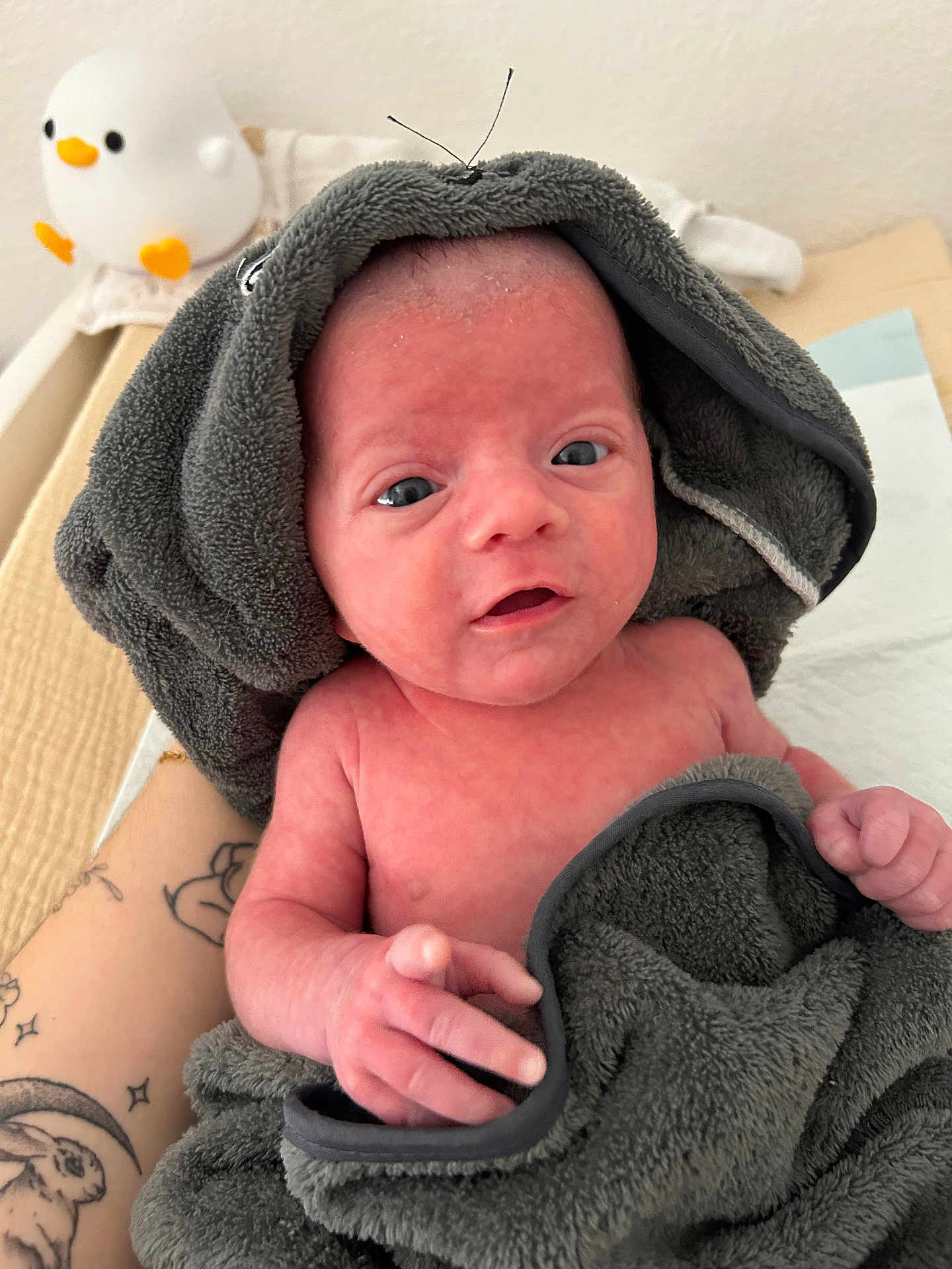 Aaron a rejoint le concours — aidez-le/la à gagner de superbes lots ! newborn, baby, towel, tattoo, hand, plush_toy, bird_toy, skin, indoor, person, face, eyes, infant, soft_texture, cute, baby_hand, blanket, expression, portrait, resting