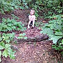 Layla is registered to the contest to win money with this photo: child, forest, log, leaves, trees, outdoor, nature, young, sitting, curious, greenery, woodland, casual, daylight, shoes, shorts, tshirt, branches, ground, plants