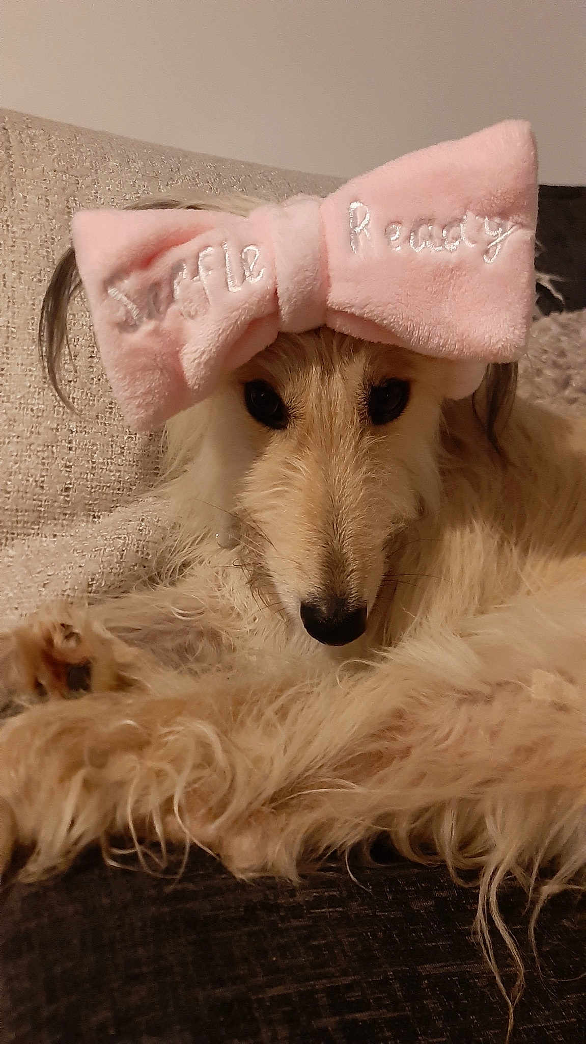 Nala