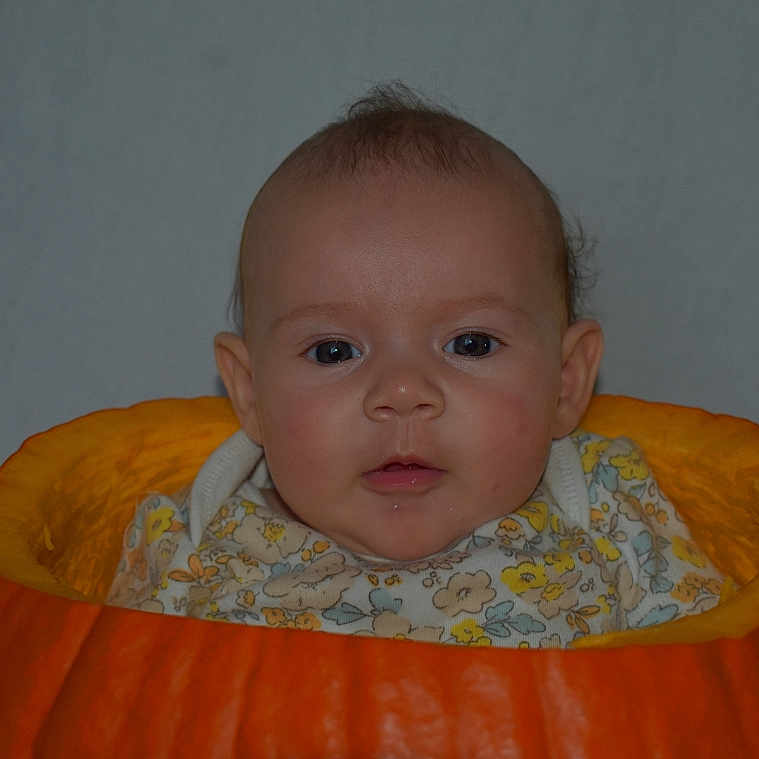 Xena is registered to the contest to win money with this photo: baby, bodypart, face, finger, food, gourd, hand, head, newborn, person, photography, plant, portrait, produce, pumpkin, squash, vegetable