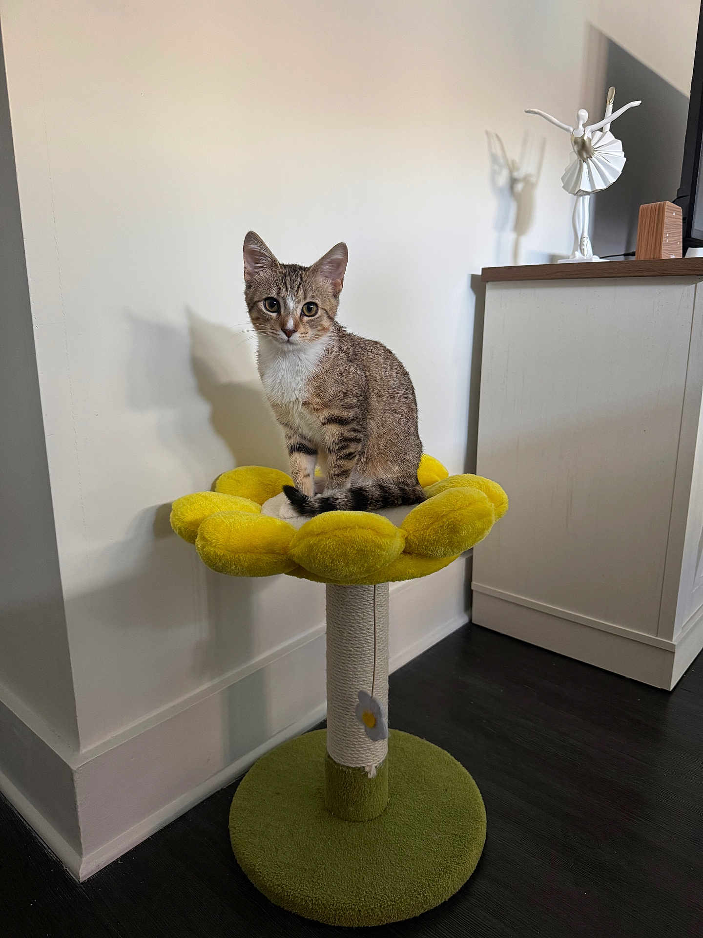 Greta joined the competition — help win amazing prizes! kitten, cat, cat_scratch_post, flower_shaped, yellow, tabby, pet, indoor, floor, furniture, decor, ballerina_figurine, shadow, wall, curious, sitting, soft_texture, toy, playful, animal