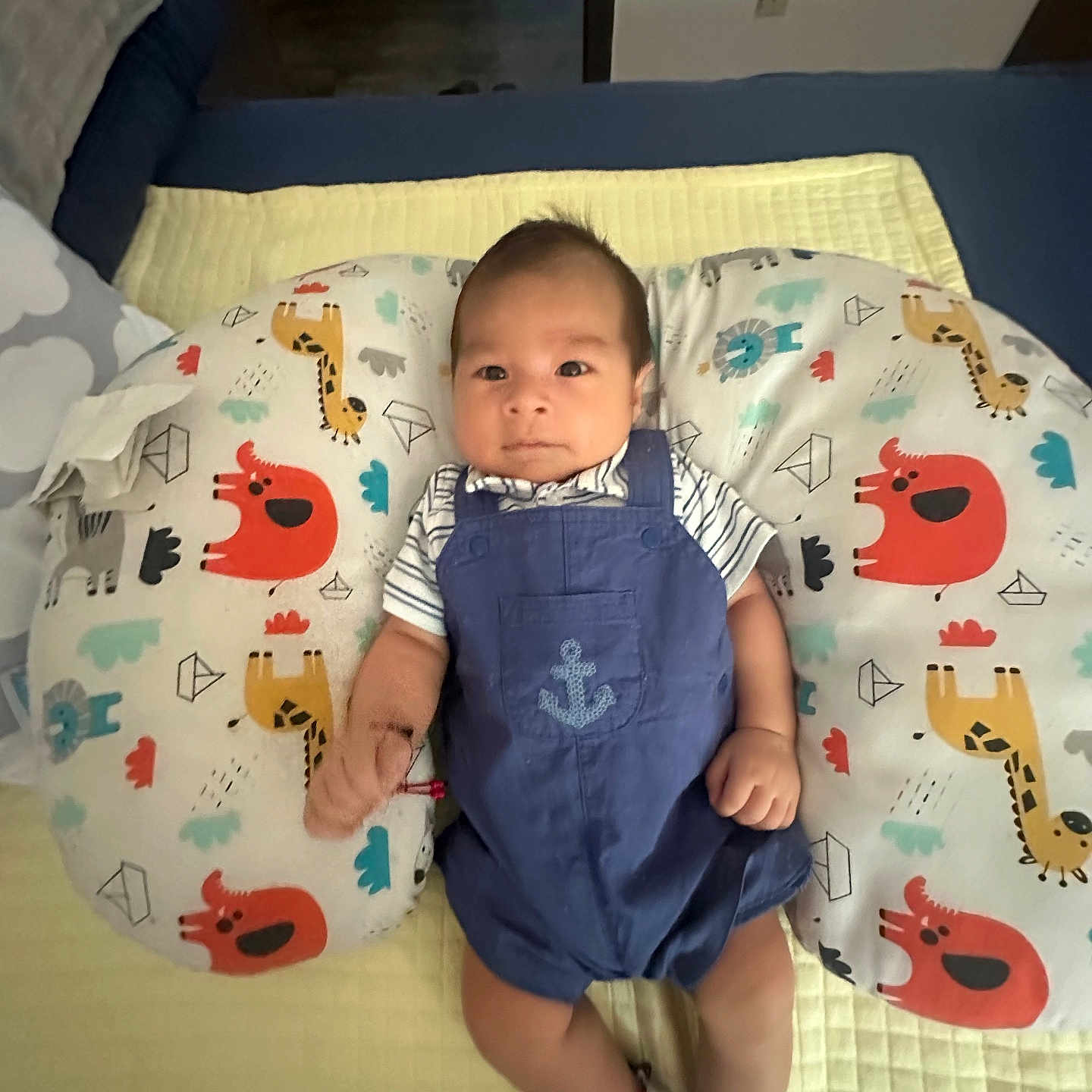 Thiago Cespedes joined the competition — help win amazing prizes! baby, infant, child, portrait, lying_down, indoors, changing_pad, overalls, striped_shirt, striped_socks, anchor, animal_print, giraffe, elephant, lion, colorful, bed, nursery, furniture, face