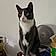 Mittens