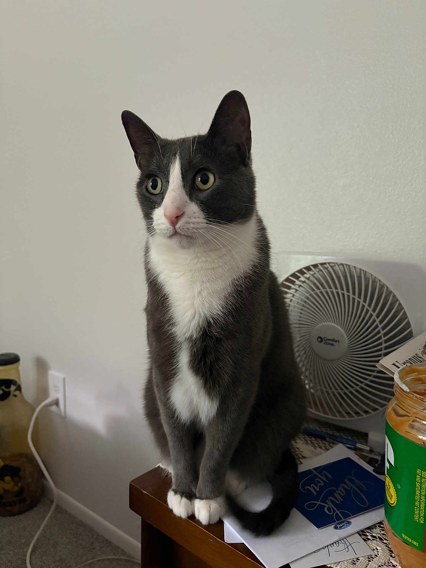 Mittens