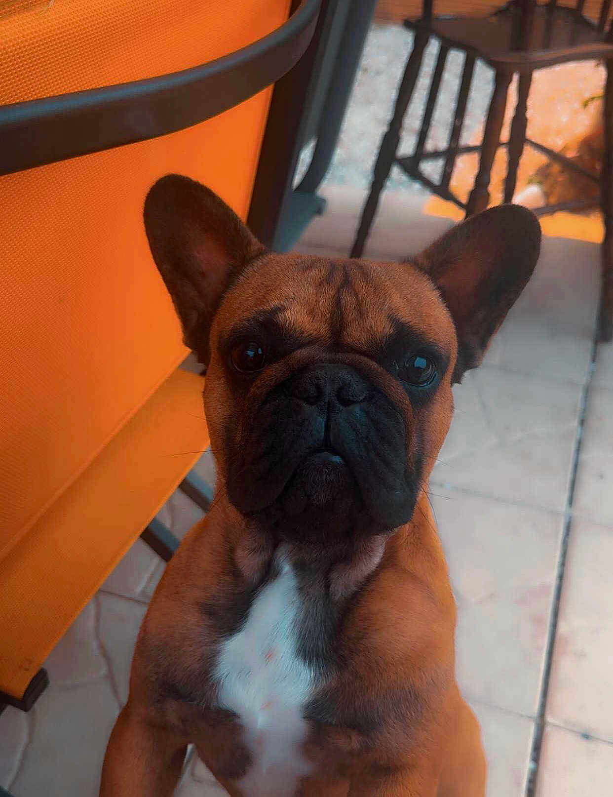 Varoun