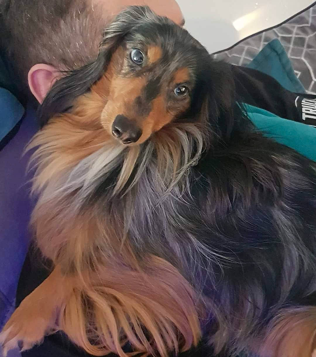 Paco