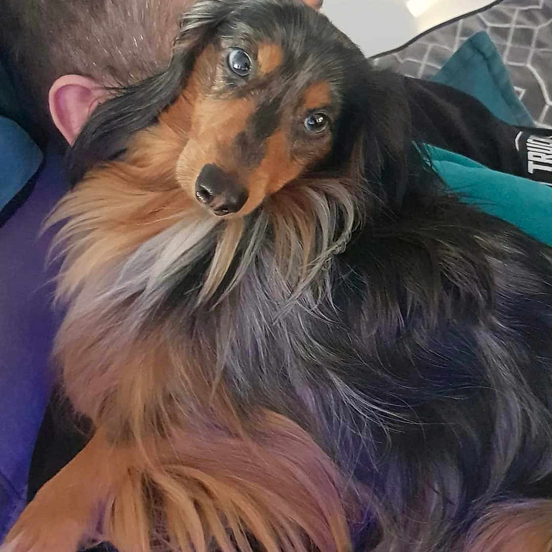 Paco
