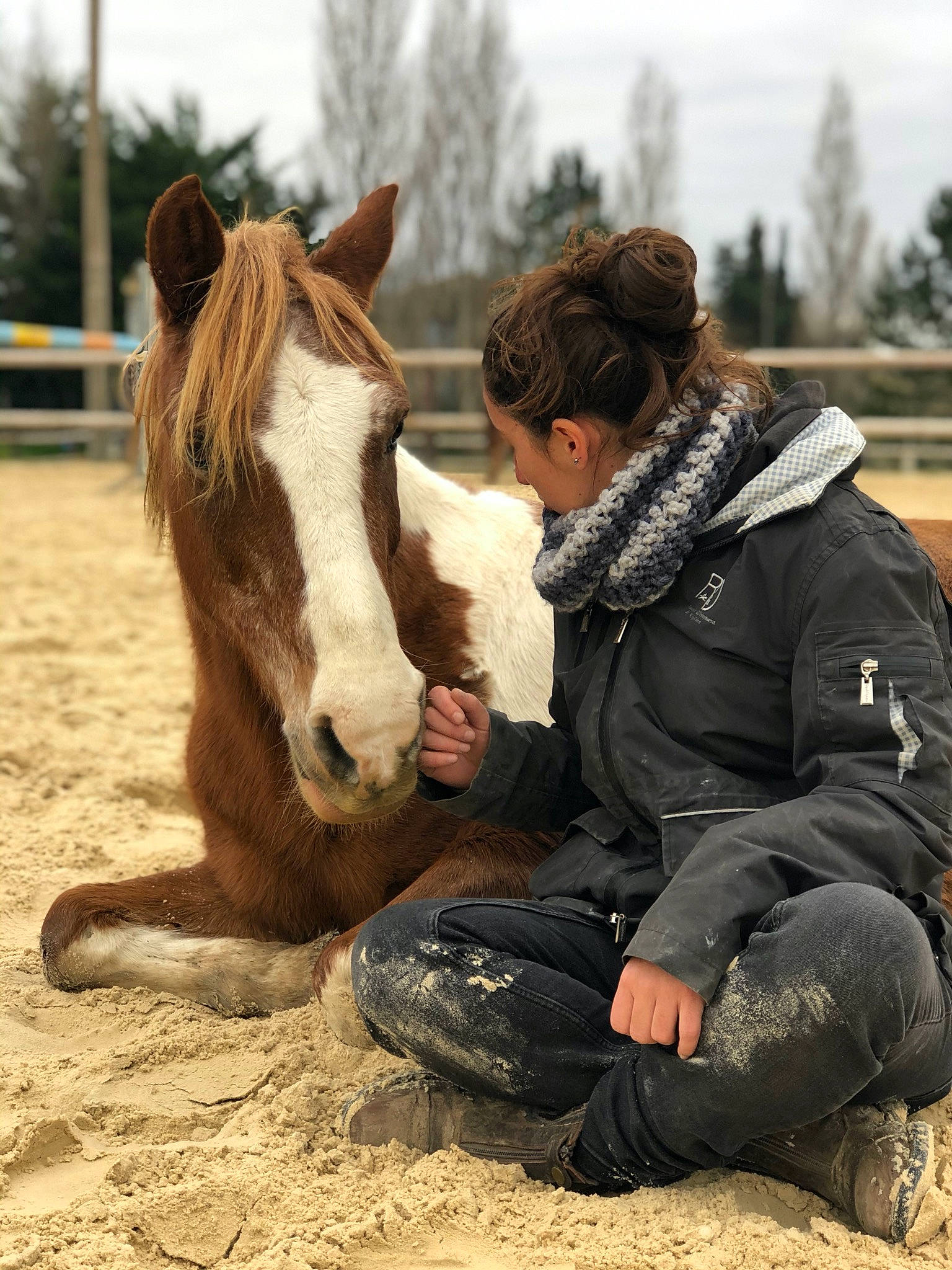 Querida participe au concours pour gagner de l'argent avec cette photo : horse, horse_grooming, horse_supplies, livestock, mammal, mane, mare, mustang_horse, pack_animal, pony, rein, riding_instructor, shetland_pony, vertebrate