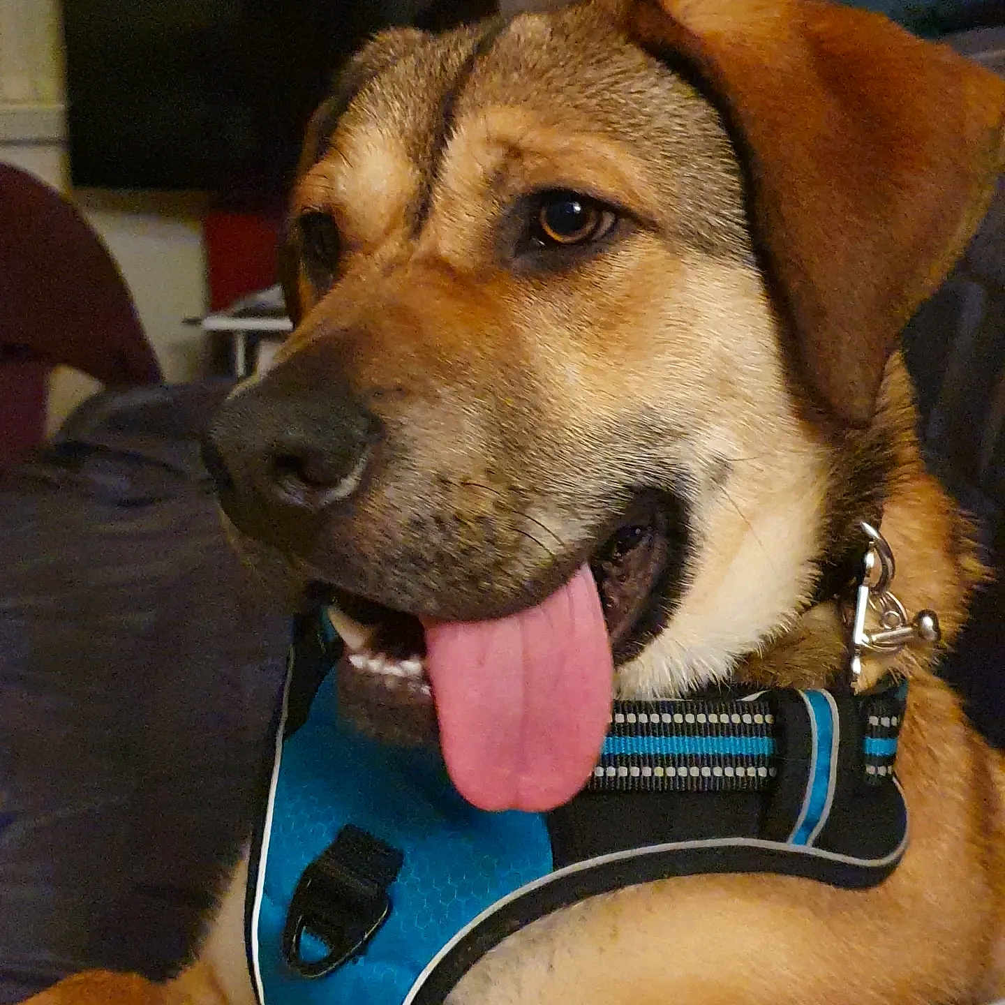 Vinnie