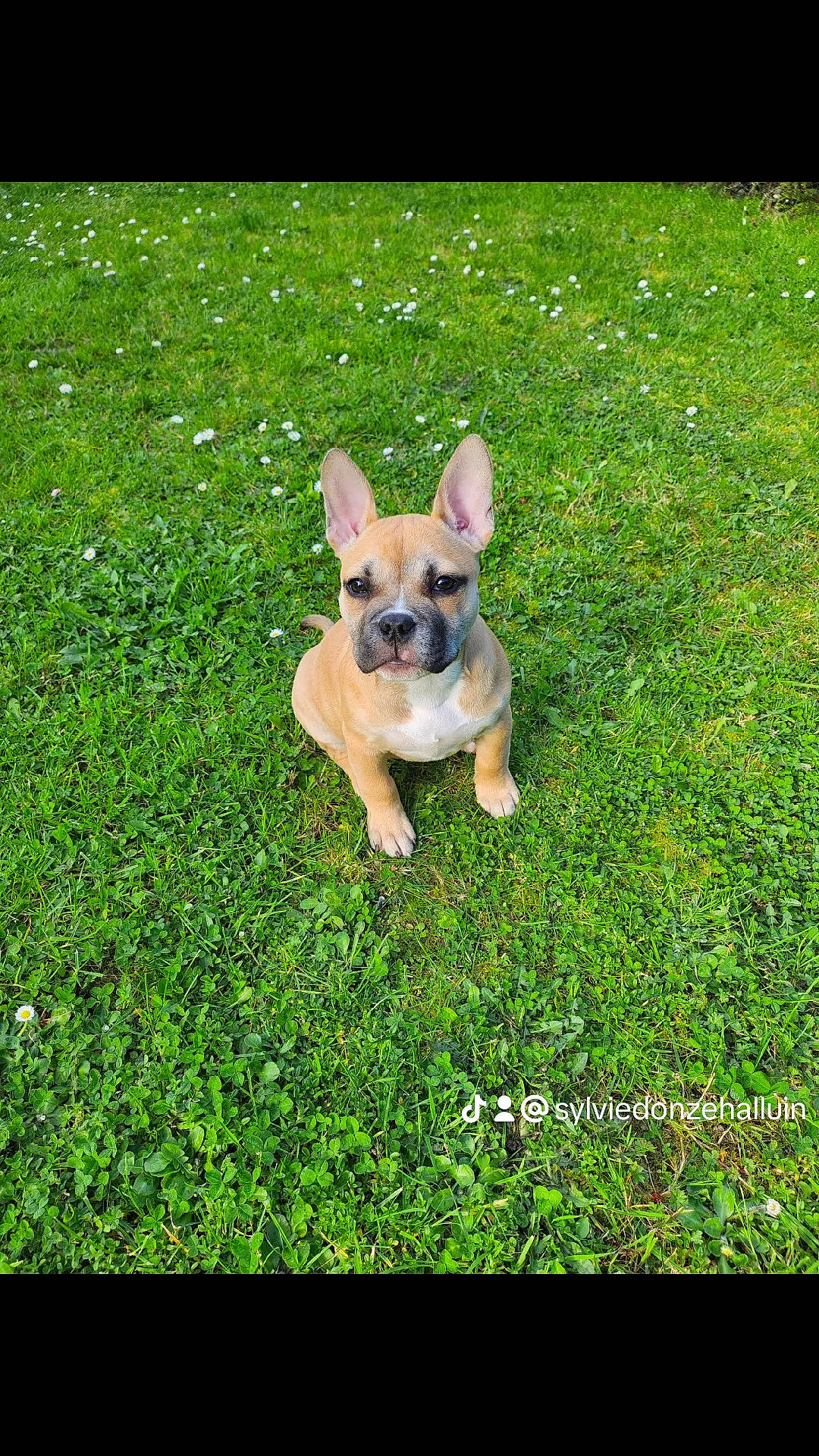Xena